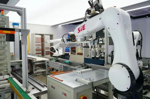 賽意信息2020年度業(yè)績(jī)說(shuō)明會(huì) 智能制造業(yè)務(wù)高速增長(zhǎng)，研發(fā)投入驅(qū)動(dòng)智能機(jī)器人創(chuàng)新發(fā)展